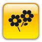 FLEURISTE